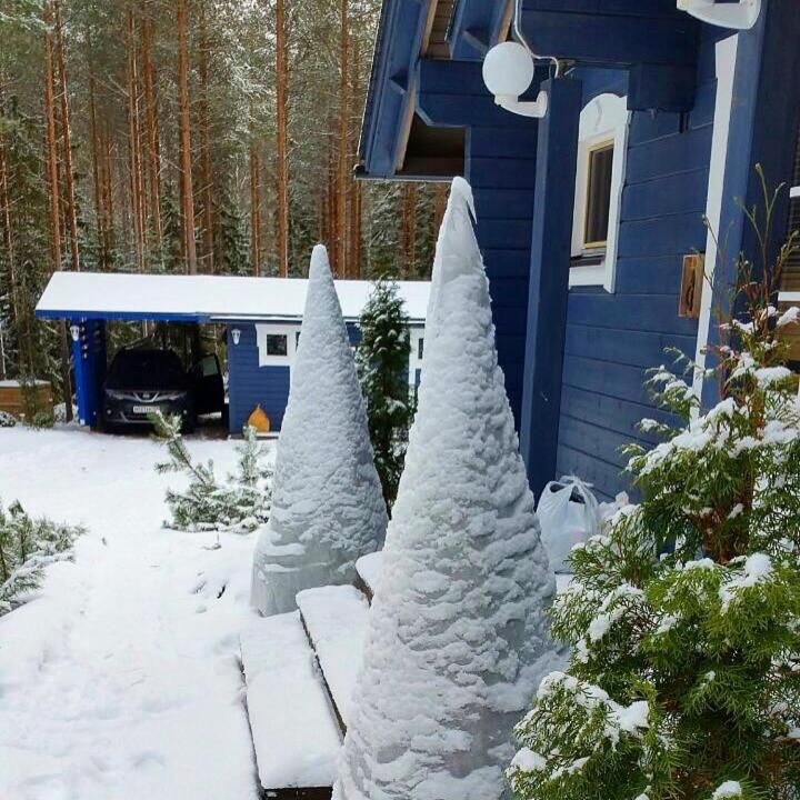 Дома для отпуска Ilmajärvi Cottage Руоколахти-27